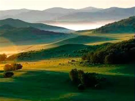 are there trees in the north china plain